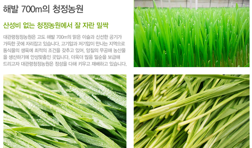 강원 평창 대관령청정농원, 밀순 4kg (1kg 단위 4주 배송)